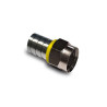 FRACARRO Fiche F à sertir - CCF66B