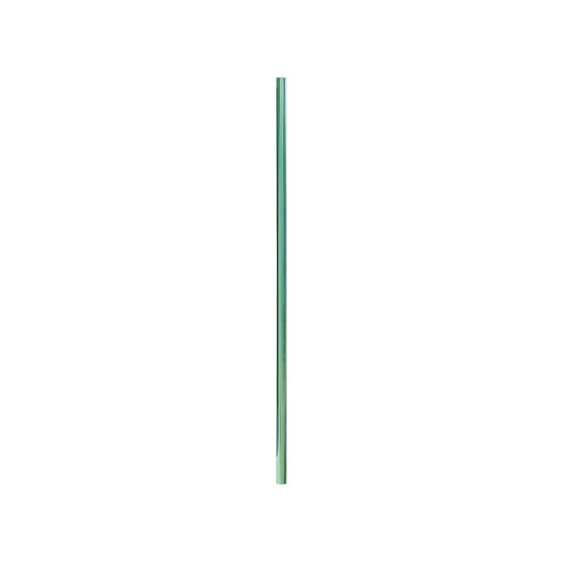 ERARD Mât simple - E009340