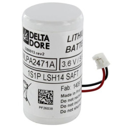 DELTA DORE Bloc pile - 6416224