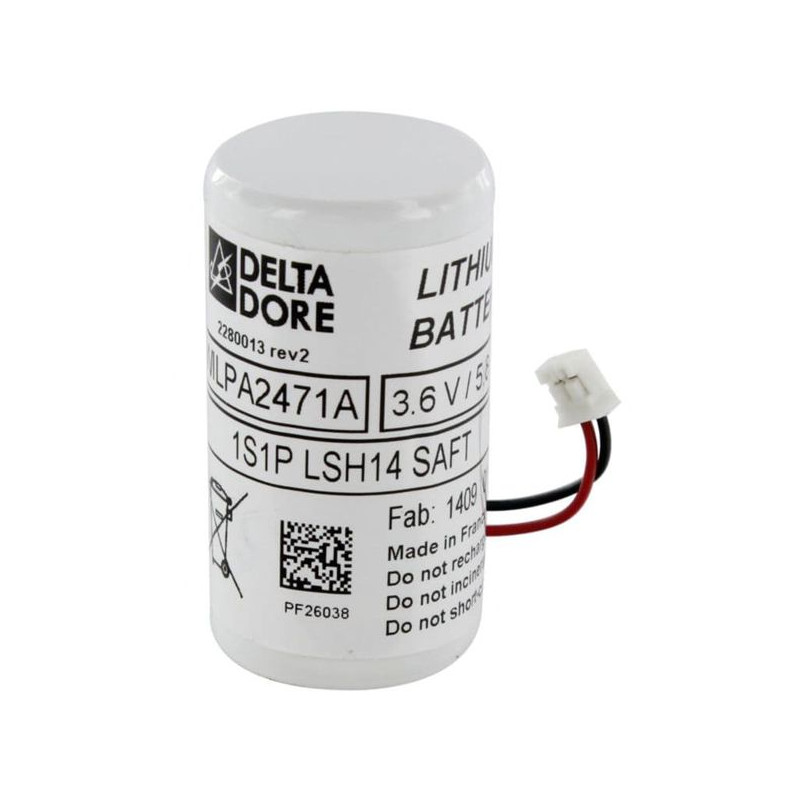 DELTA DORE Bloc pile - 6416224