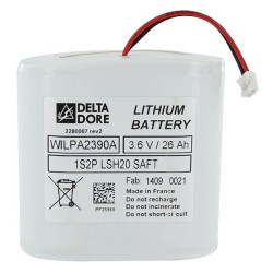 DELTA DORE Bloc pile - 6416222