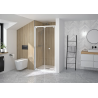 Porte de douche en niche SUPRA S