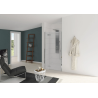 Porte de douche en niche KINESTYLE P