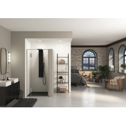 Porte de douche en niche Ekinox P