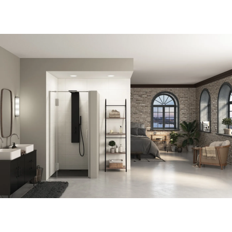 Porte de douche en niche Ekinox P