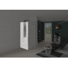 Kinestyle P+F - Porte pivotante sans seuil + paroi fixe d'angle