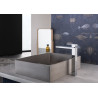 Mitigeur lavabo rehaussé PLAZA