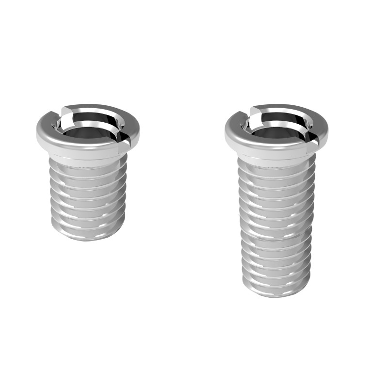 Lot de 2 vis centrales enmétal pour bonde d'évier réf. 4355/4356/4357/4380