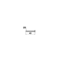 Lot 2 vis inox Ø6x40mm, pour réf. 5512 ou bonde d'évier ou lavabo