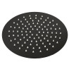 Pomme de tête métal diamètre 250 mm époxy noir mat