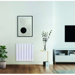 Radiateur électrique aluminium à fluide caloporteur DOMAO 100, 750w