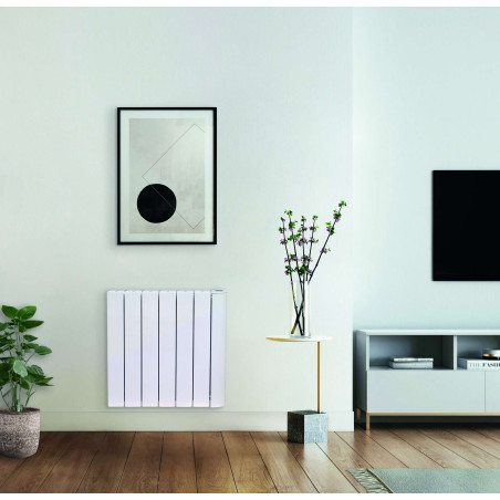 Radiateur électrique aluminium à fluide caloporteur DOMAO 100, 2000w