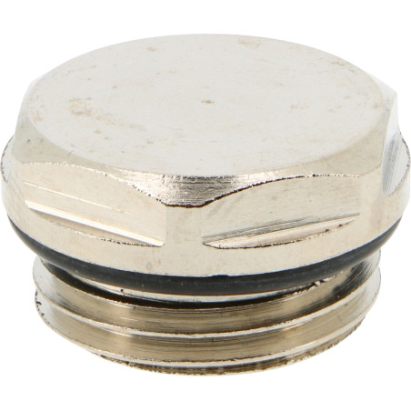 Bouchon plein 1/2" pour radiateur Aciersous Blister de10 10 bar 100°C