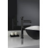 Mitigeur lavabo rehaussé TROPIC PVD black