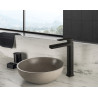 Mitigeur lavabo rehaussé DAX PVD black