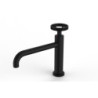 Mitigeur type industriel pour lavabo HANUM noir - sans vidage