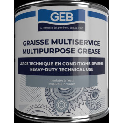 Graisse au lithium extreme pression pour roulements couleur vert boîte 600g