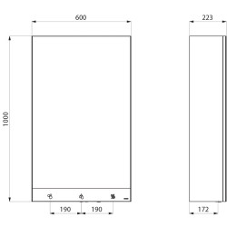 Armoire miroir 600 rob auto + savon auto + essuie-mains