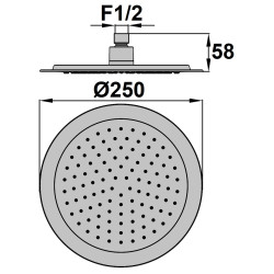 Pomme de tête ronde 250 mm abs anticalcaire chrome