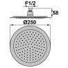 Pomme de tête ronde 250 mm abs anticalcaire chrome