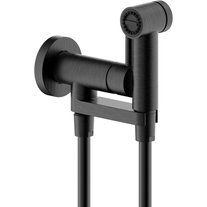 Graphite brossé PVD