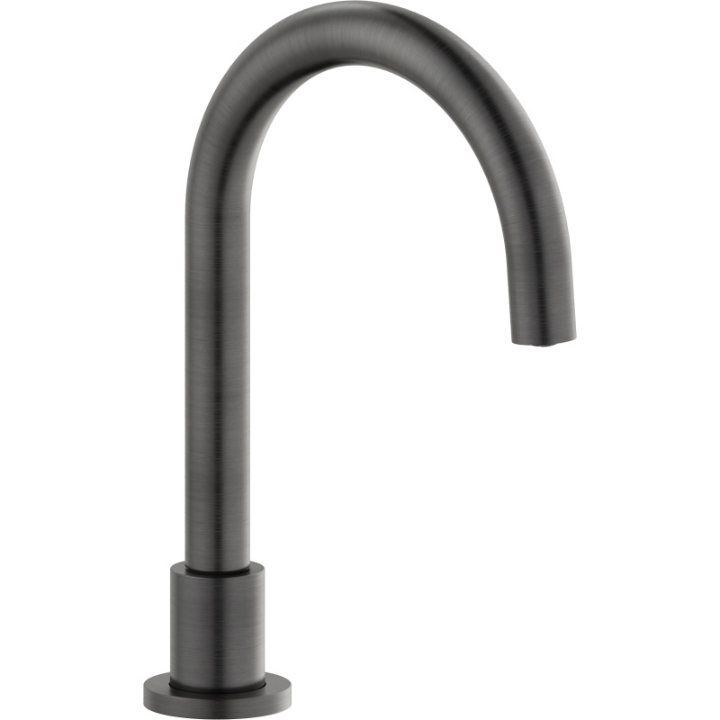 Graphite brossé PVD