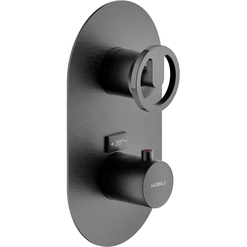 Graphite brossé PVD