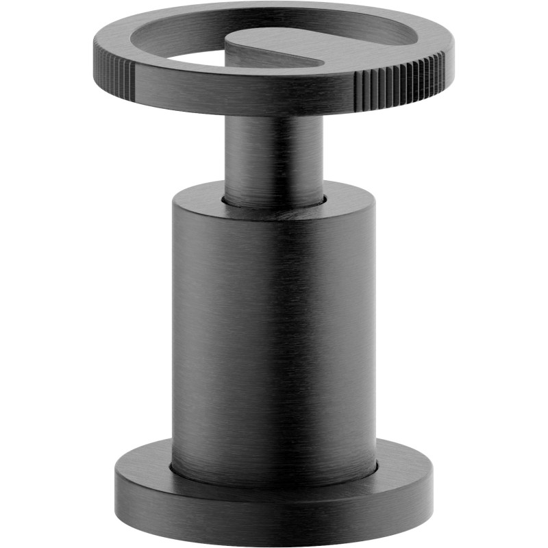 Graphite brossé PVD