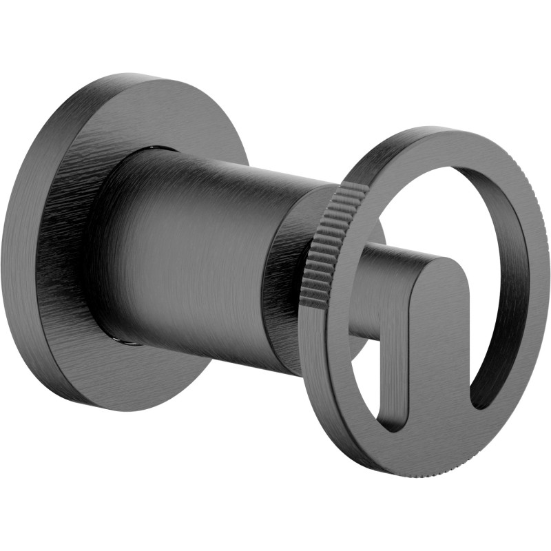 Graphite brossé PVD