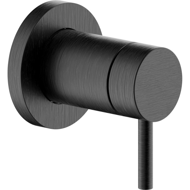 Graphite brossé PVD