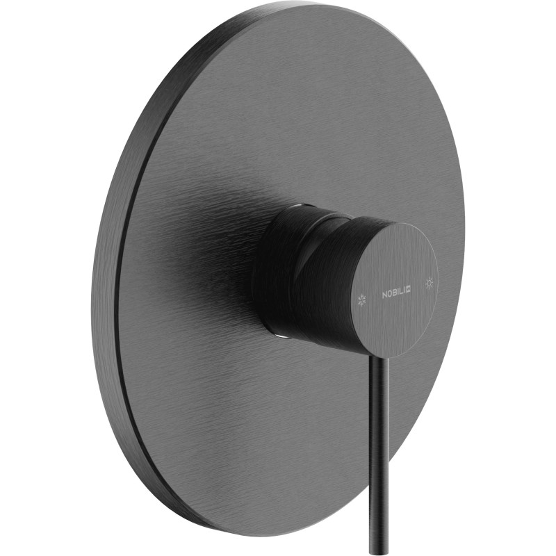 Graphite brossé PVD