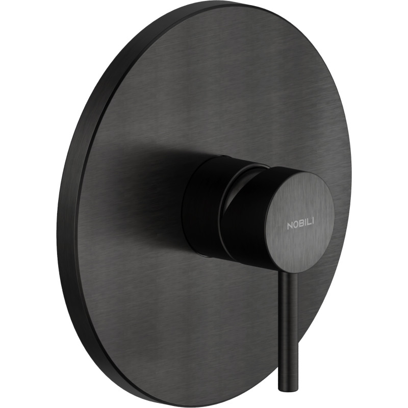 Graphite brossé PVD