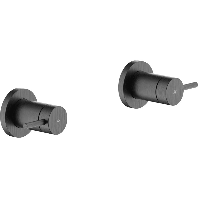 Graphite brossé PVD