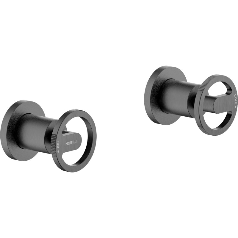 Graphite brossé PVD