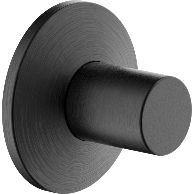 Graphite brossé PVD