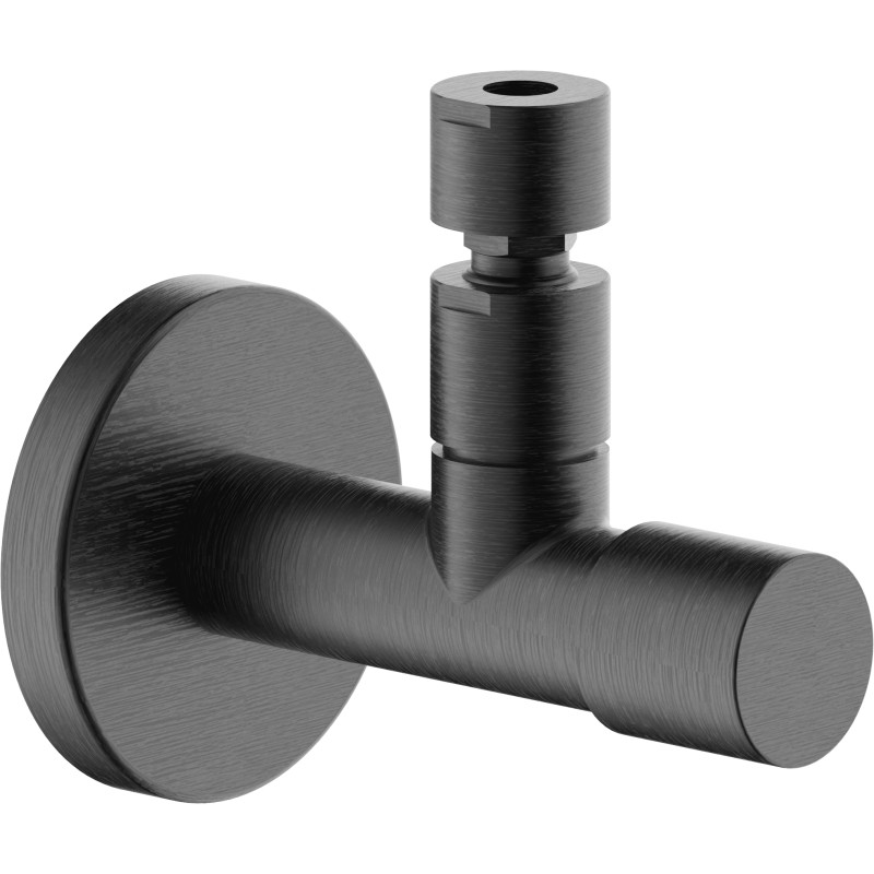 Graphite brossé PVD