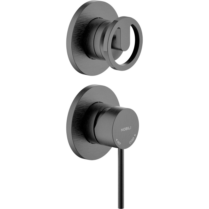 Graphite brossé PVD