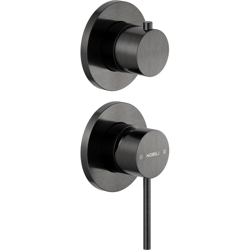 Graphite brossé PVD