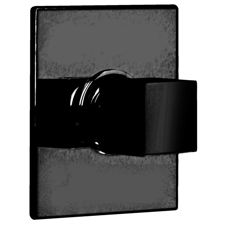 Noir mat PVD