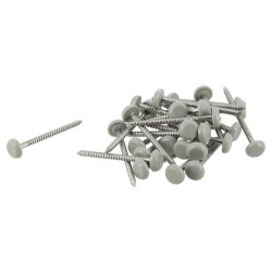 Clou inox embout plastique lg.40mm