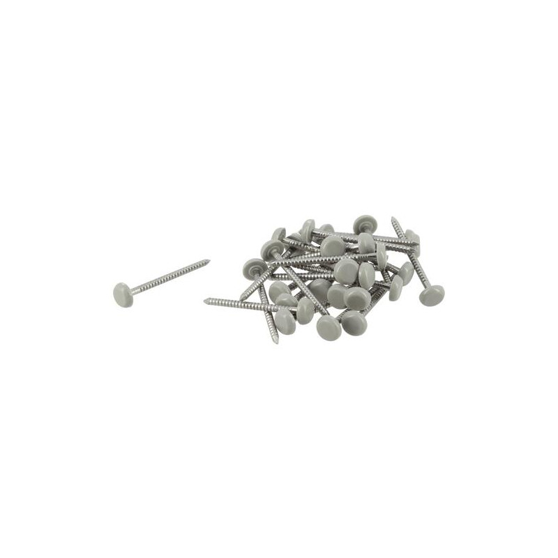 Clou inox embout plastique lg.40mm