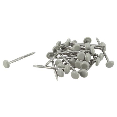 Clou inox embout plastique lg.40mm