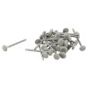 Clou inox embout plastique lg.40mm