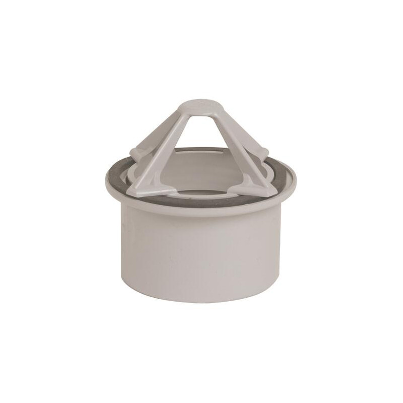 Naissance pour cheneaux grise