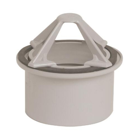 Naissance pour cheneaux grise