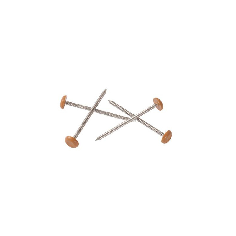 Clou inox embout plast. longueur. chêne liège