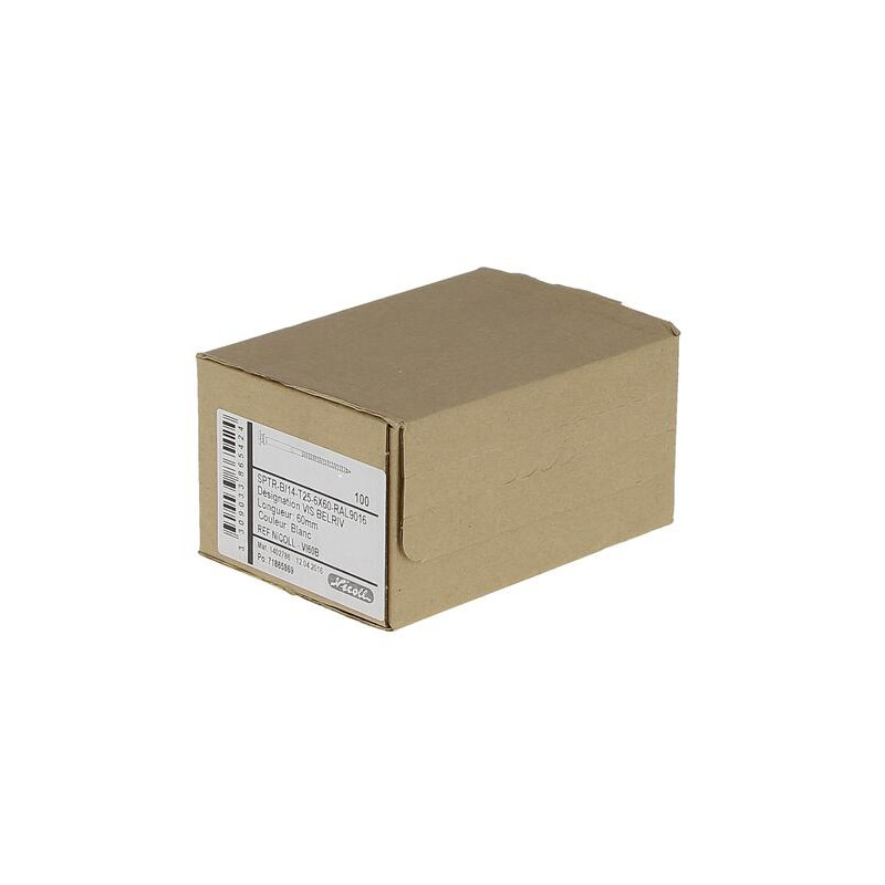 Boite 100 vis tête thermo-laquee blanc 6x60mm