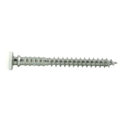 Boite 100 vis tête thermo-laquee blanc 6x60mm