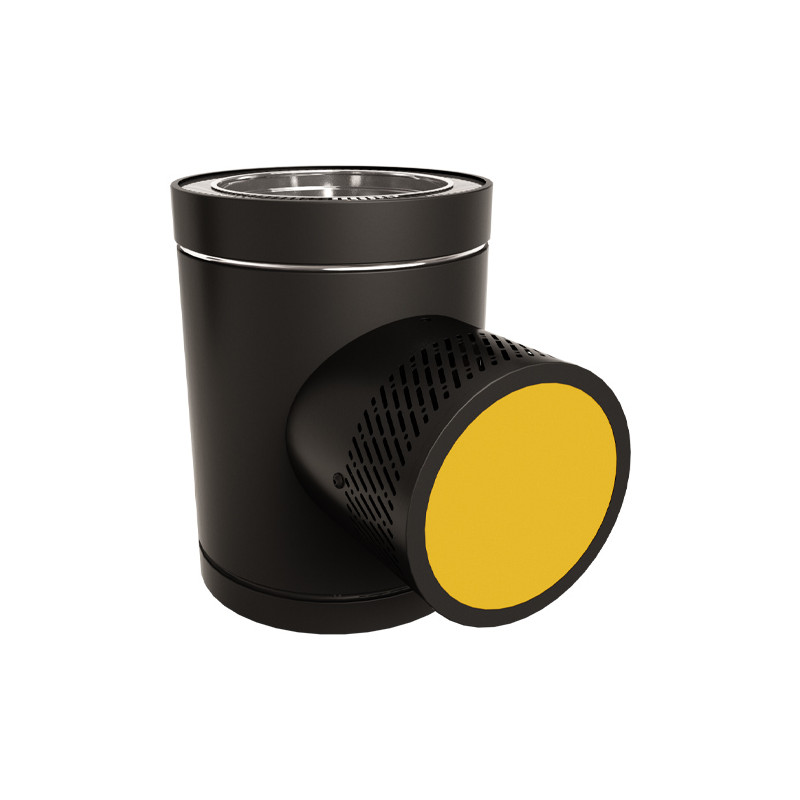 Noir grainé mat, décor jaune genêt
