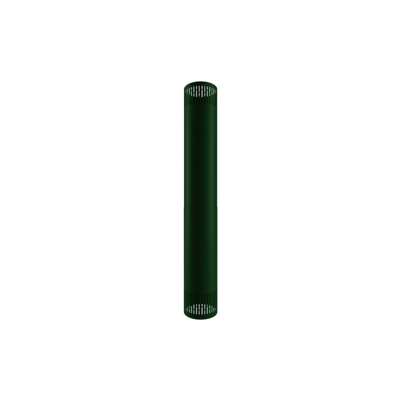 Vert mousse mat RAL 6005